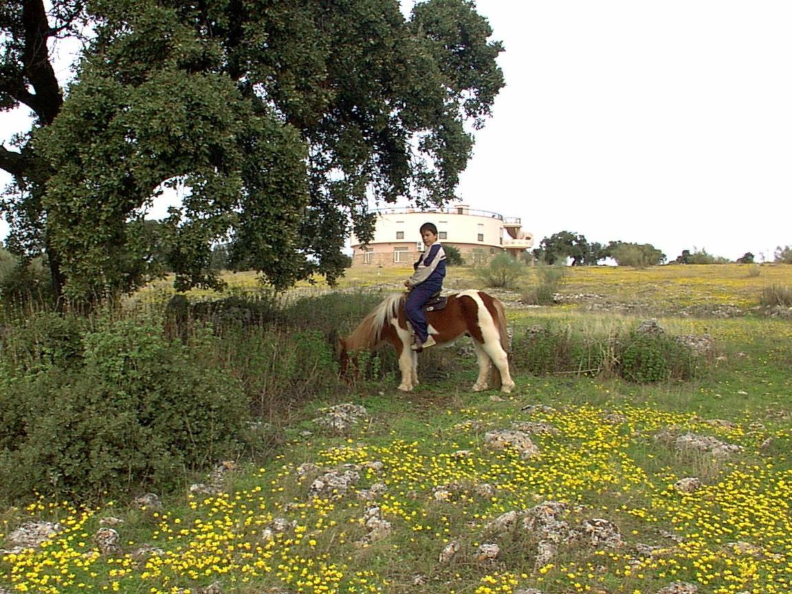 Hotel Hotel Paraje La Lambra 3*